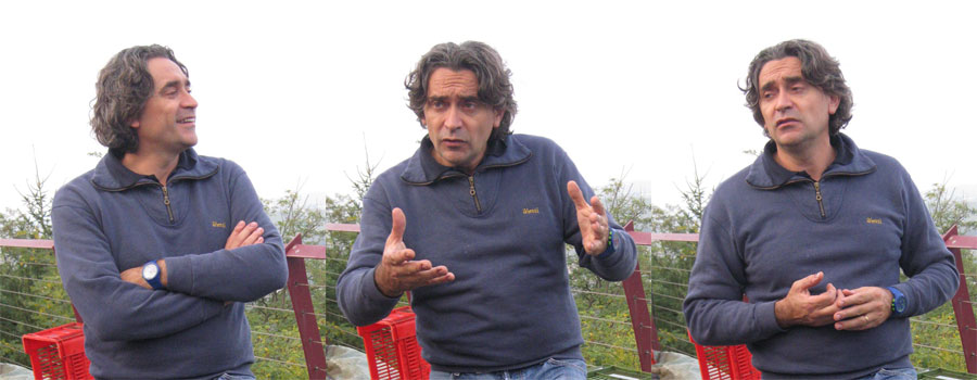 Luca Currado